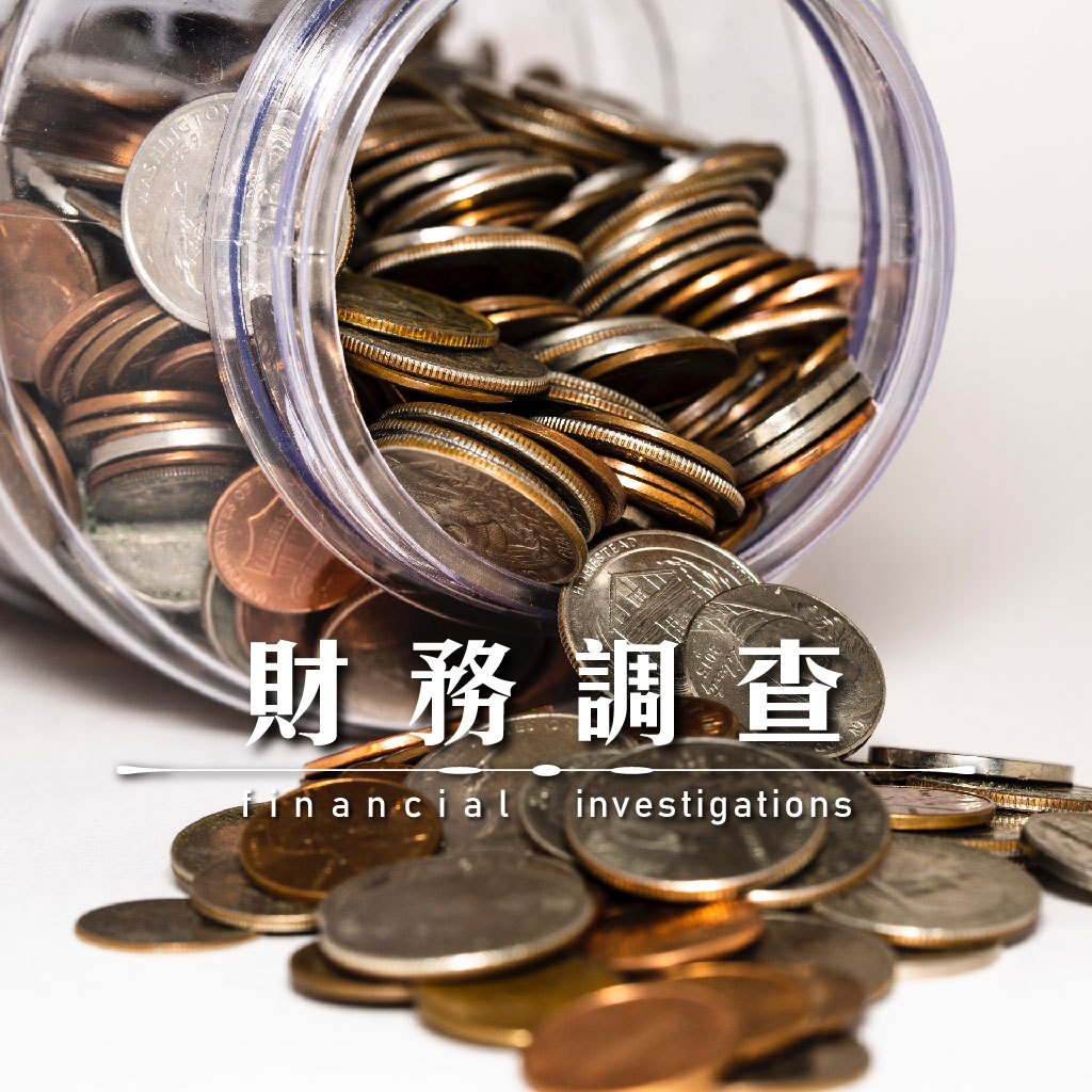 財務調查